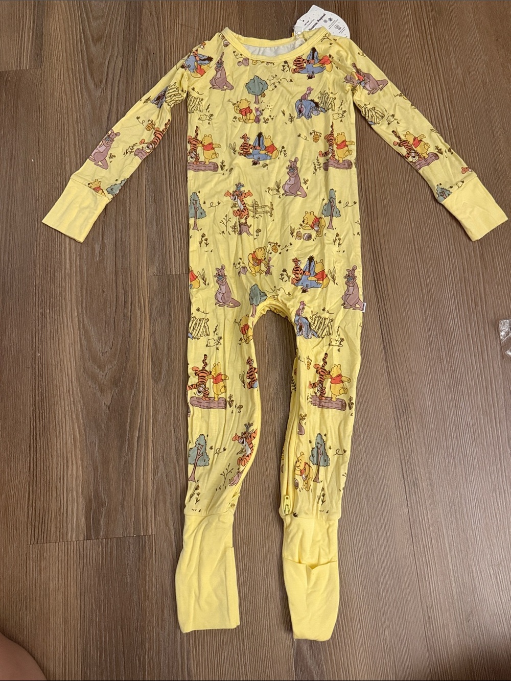 NWT Little Sleepies x Disney Winnie the Pooh Crescent Zippy - 2T